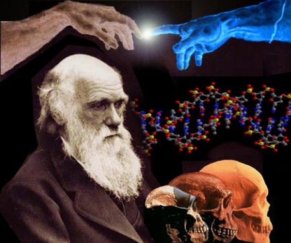 Предпосылки создания эволюционной теории Ч.              Дарвина