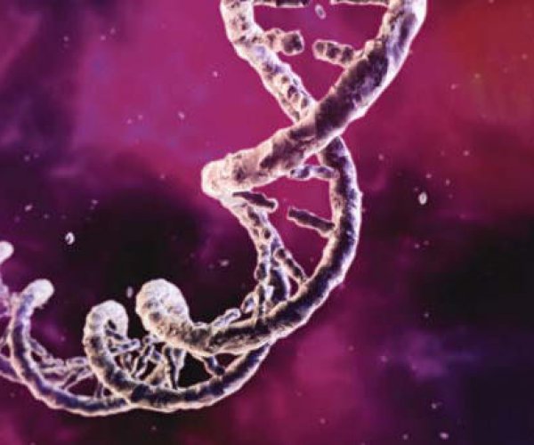 Генетики открыли ген разума