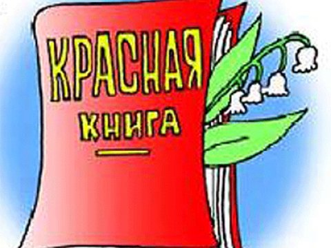 Вышло новое издание Красной книги с ужасающими данными