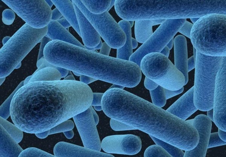 Ученые доказали, что без Фосфора бактерии не могут существовать