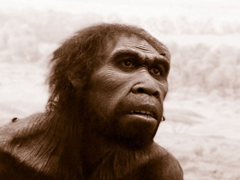 Предки человека начали очеловечиваться более 3 млн. лет назад