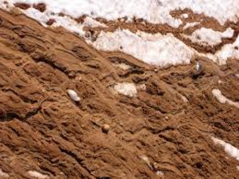 Ученые заявили, что жизнь зародилась в глине