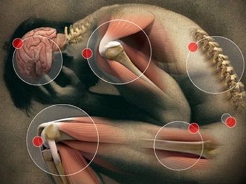 Чувствительность людей к боли зависит от образа их жизни