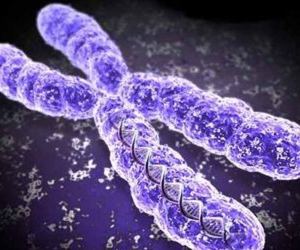Искусственные хромосомы воплотили в жизнь