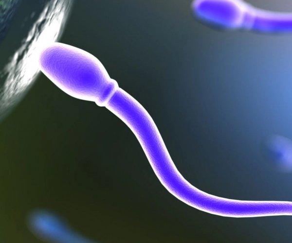 Ученые вырастили сперматозоиды из клеток кожи