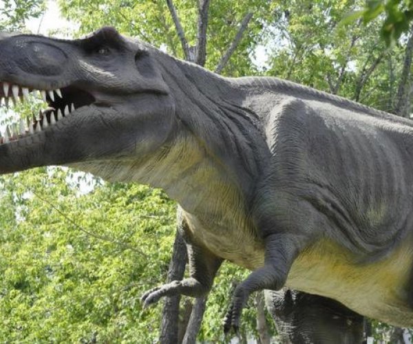 Метаболизм динозавров позволил им доминировать на нашей планете