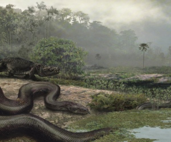 Появление змей можно перенести на более ранний период