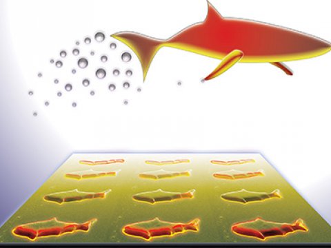 Исследователи заставили нанорыбок двигаться