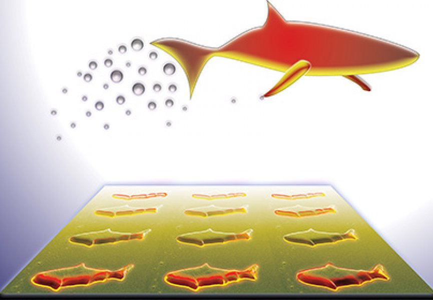 Исследователи заставили нанорыбок двигаться