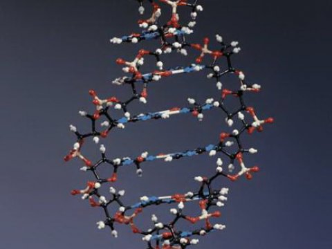 Ученые смогли подтвердить космическое влияние на происхождение жизни на Земле