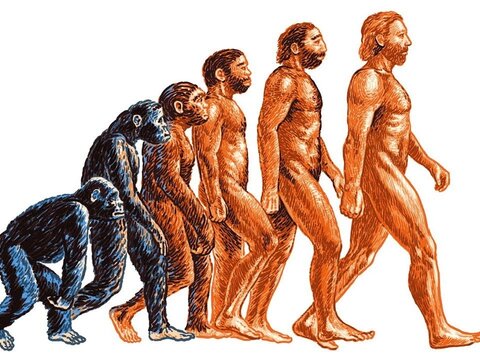 Лекция 1. Теория эволюции Ч. Дарвина