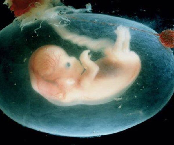 Британские генетики планируют модифицировать человеческий эмбрион на генетическом уровне