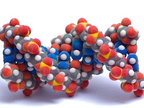 Ученые выделили универсальный белок-активатор