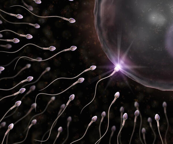 Неужели половые клетки еще полностью не изучены?
