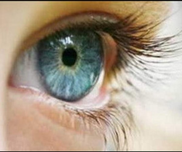 Создан генетический метод определения цвета глаз преступника