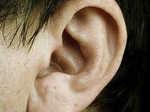За шум в ушах отвечают гены