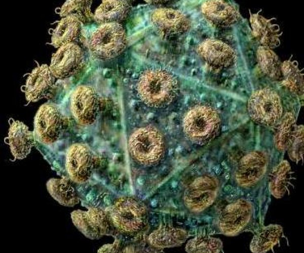 На пути к вакцине против СПИДа