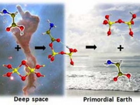 Жизнь на Землю могла прийти из космоса