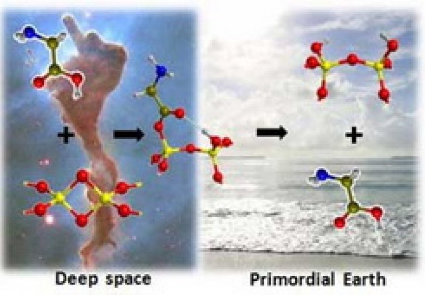 Жизнь на Землю могла прийти из космоса