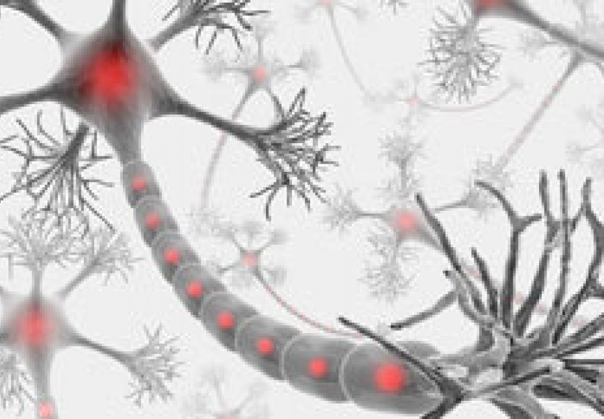 Оперативная память мозга: и один нейрон в поле воин