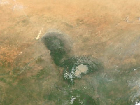 Джунгли Амазонки удобряются африканской пылью