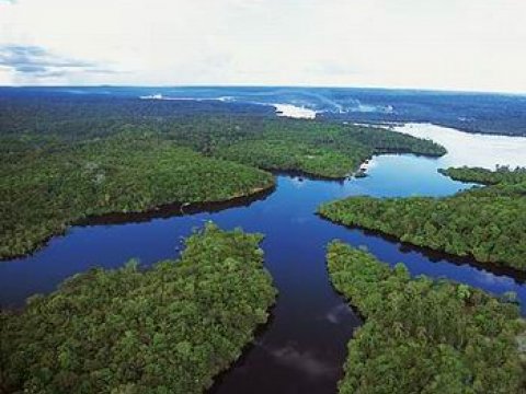 Амазония может стать главным источником углекислого газа