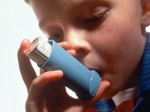 Ученые открыли ген астмы