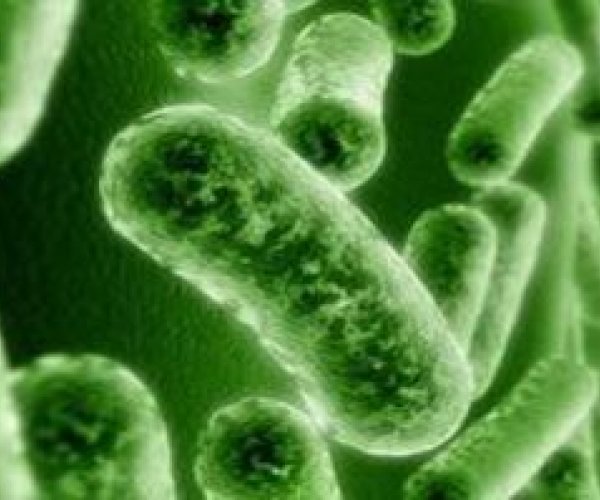 Бактерии дадут людям возможность дожить до 140 лет