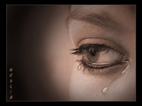 В женских слезах содержится 
