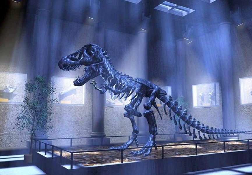 В Грузии найдены следы динозавров