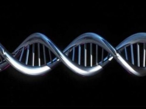 Композиторы и ученые превратили генетический код человека в музыкальное произведение