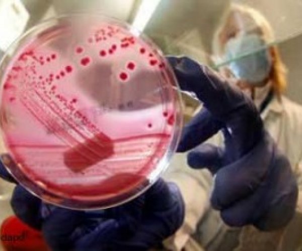 Французские ученые определили штамм бактерии E.coli