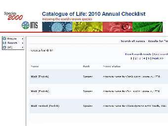 Выпущен новый каталог всех известных на Земле биологических видов