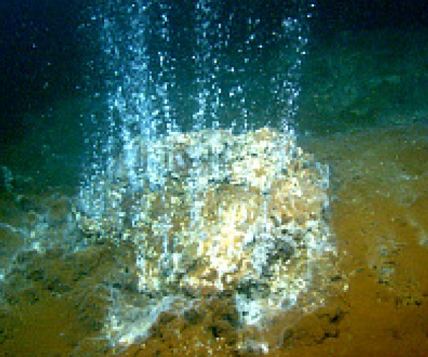 Колыбель жизни найдена в горячих океанских источниках