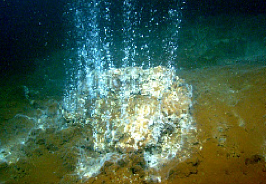 Колыбель жизни найдена в горячих океанских источниках