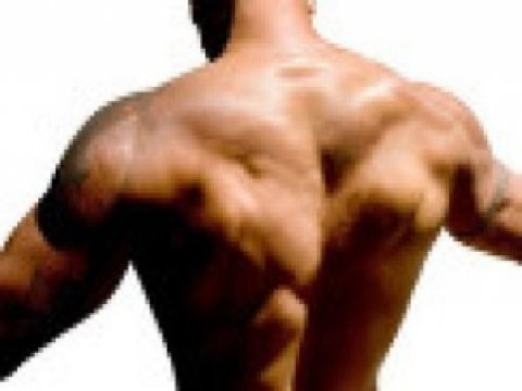 Мышцы можно омолаживать