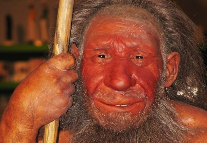 Ученые выяснили необычную особенность неандертальцев мужского пола