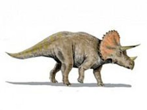 В пустыне штата Юта найдены останки двух новых видов травоядных динозавров