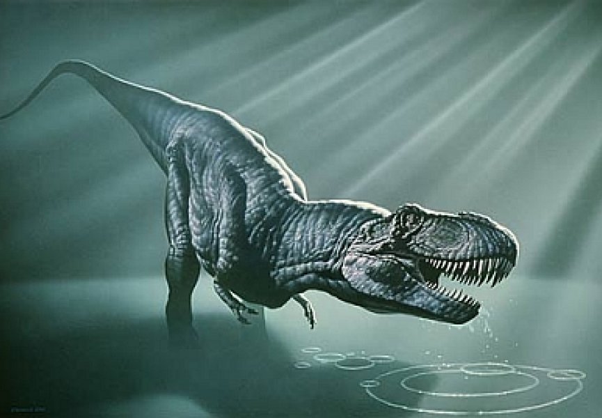 Палеонтологи обнаружили останки тираннозавра в Южном полушарии