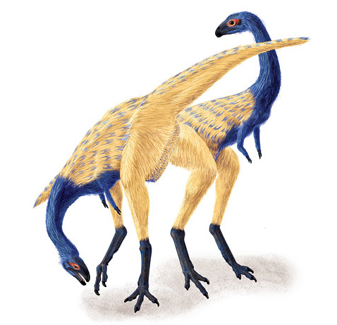 Limusaurus inextricabilis