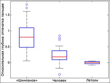 сравнение следов