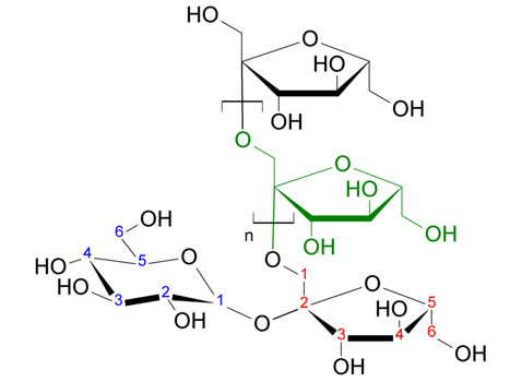 структура молекулы инулина