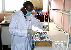 Медицинское исследование, проводимое в Африке сотрудником лаборатории Сары Тишкофф во время одной из экспедиций (фото с сайта marylandresearch.umd.edu).