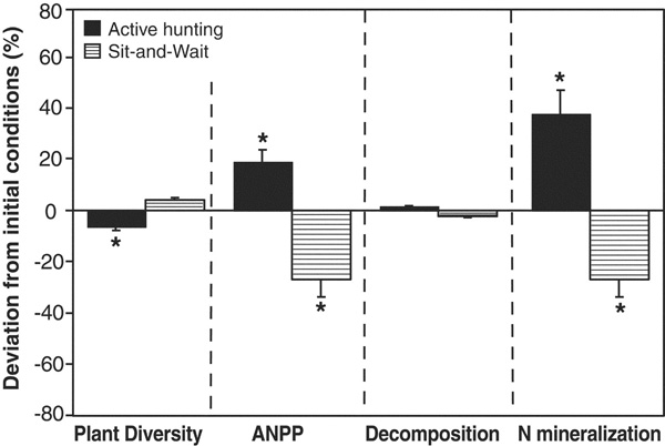 Отклонение различных параметров луговой экосистемы (по вертикальной оси) от первоначального состояния в условиях присутствия только активного охотника (стратегия «active hunting») и только засадного хищника (стратегия «sit-and-wait»). В первом случае уменьшается разнообразие растений (plant diversity; здесь это коэффициент выравненности, отражающий степень сходства показателей обилия разных видов), повышается чистая первичная продукция надземных органов (aboveground net primary production, ANPP, т.е. прирост биомассы надземных органов растений в единицу времени), незначительно увеличивается скорость разложения органики (decomposition) и сильно увеличивается скорость минерализации, то есть перехода в усвояемые для растений неорганические соединения азота, содержащегося в почве (N mineralization). Во втором случае — всё наоборот. Рис. из обсуждаемой статьи в Science