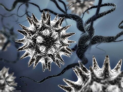 Вирусы — неклеточные формы жизни