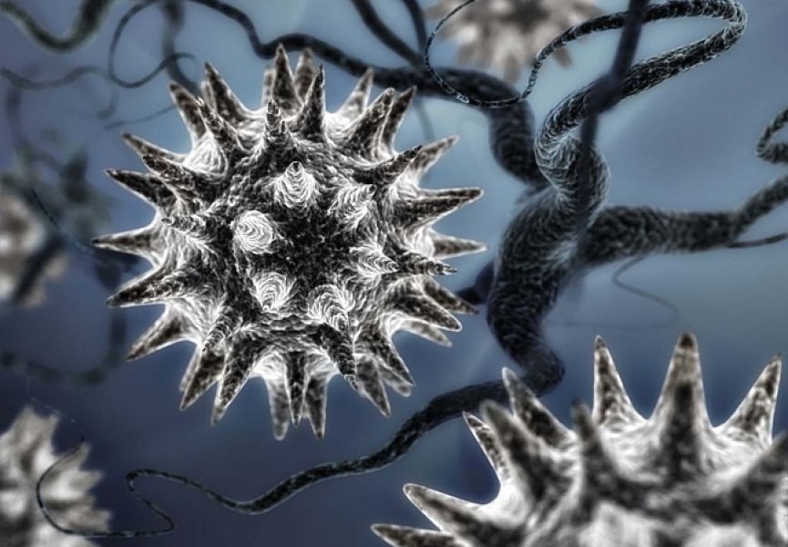 Вирусы — неклеточные формы жизни