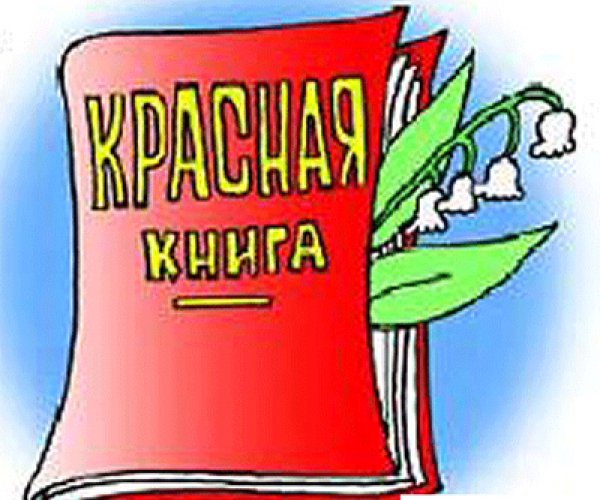 Вышло новое издание Красной книги с ужасающими данными