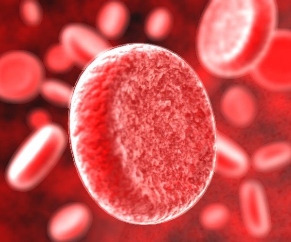 Ученые открыли еще две группы крови