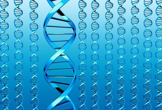 Благодаря теории информации разгадать человеческий геном станет легче