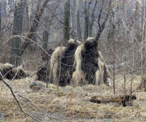 Ученые доказали существование снежного человека